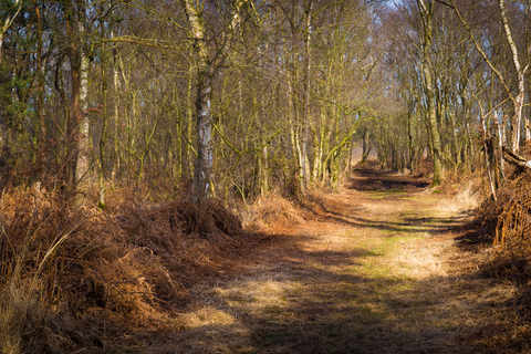 Peelsche Heide and Uitzichttoren via Kroonven