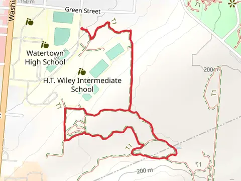 Wiley Yellow - Blue Loop Trail