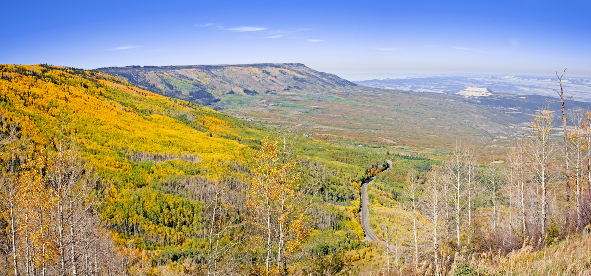 An image depicting the trail Grand Mesa Discovery Trail and its surrounding area.