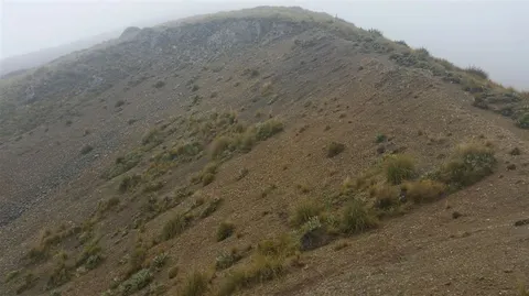 Mount Barrosa Track