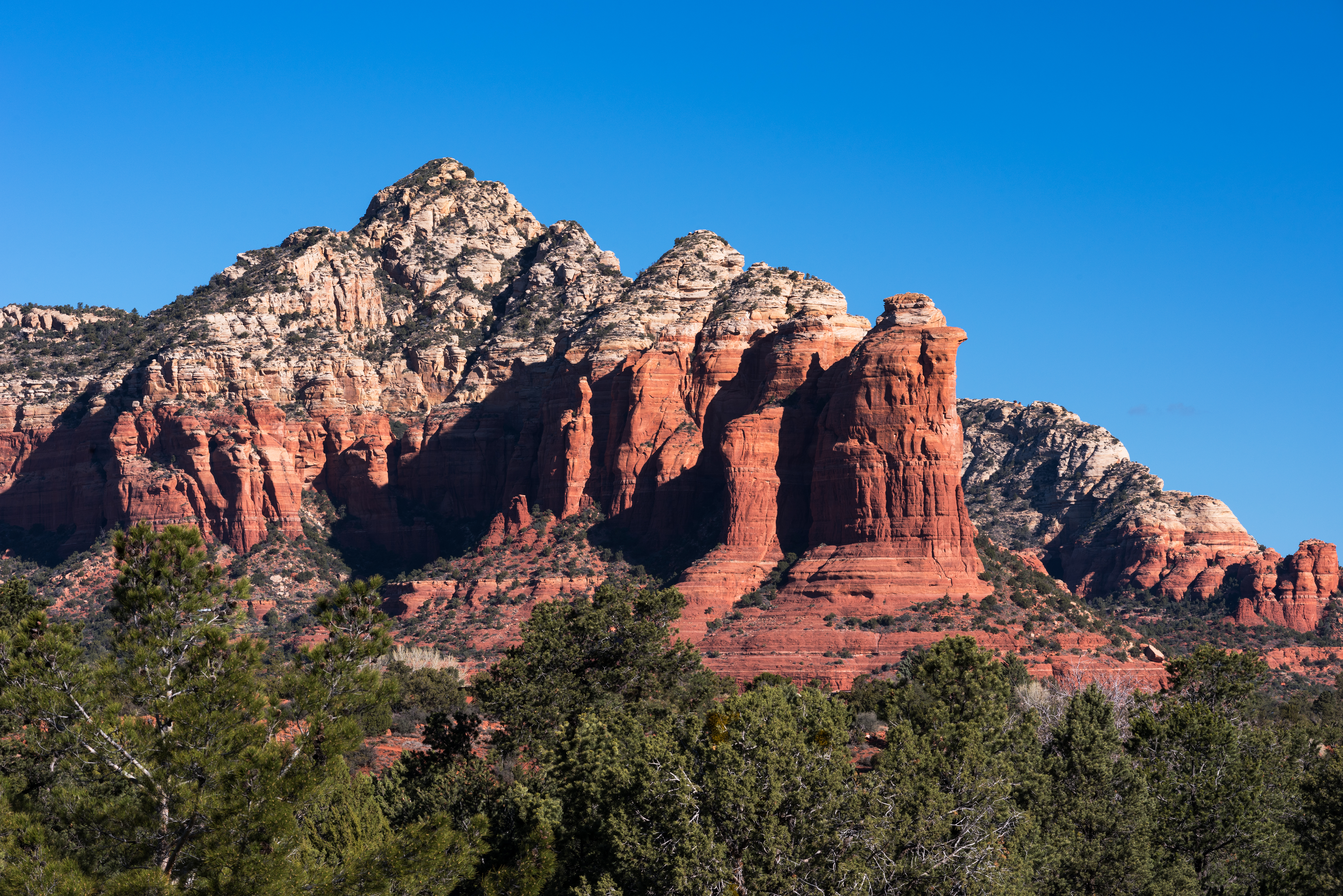 An image depicting the trail Coconino National Forest and its surrounding area.
