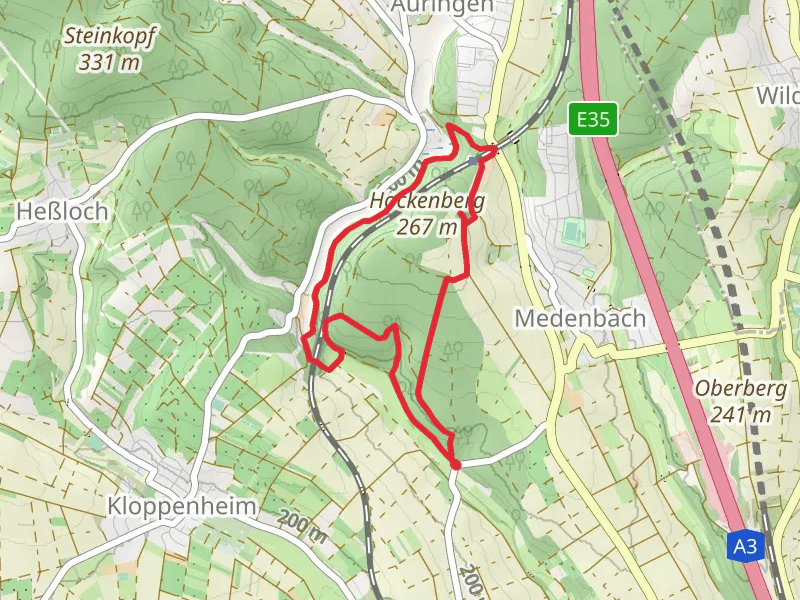 Wickerbach and Auringen Medenbach Loop