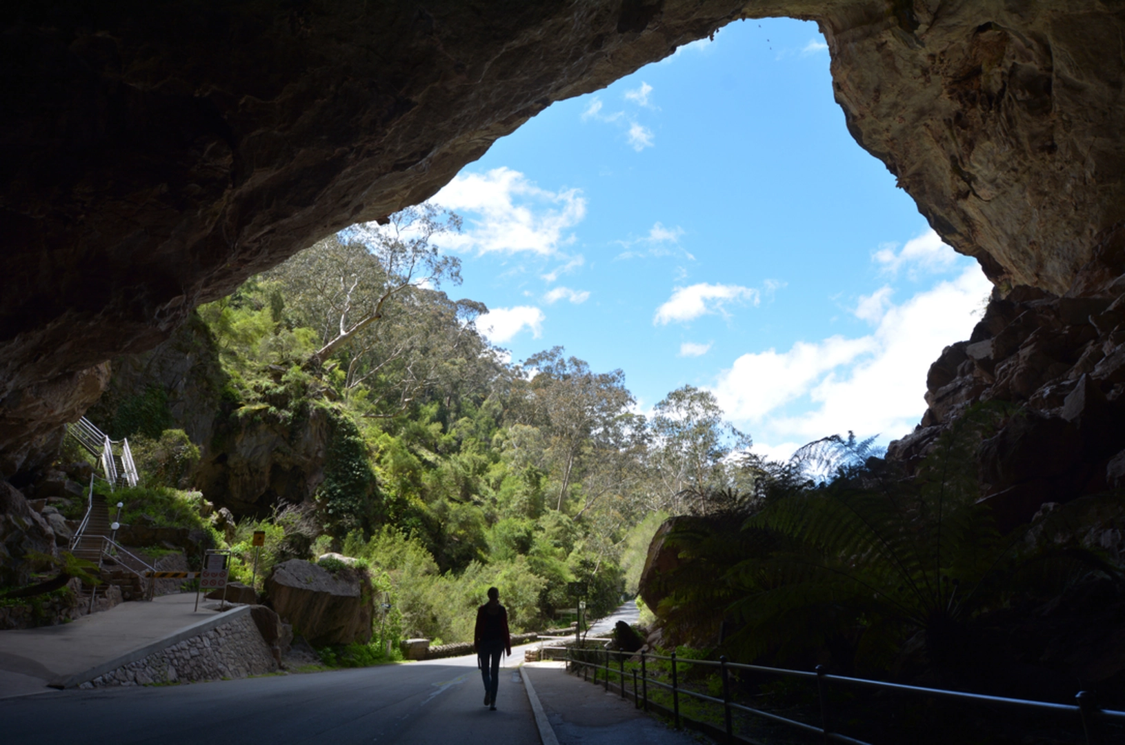 An image depicting the trail McKeown's Valley Track and its surrounding area.