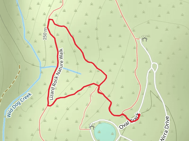 Lizard Rock Trail