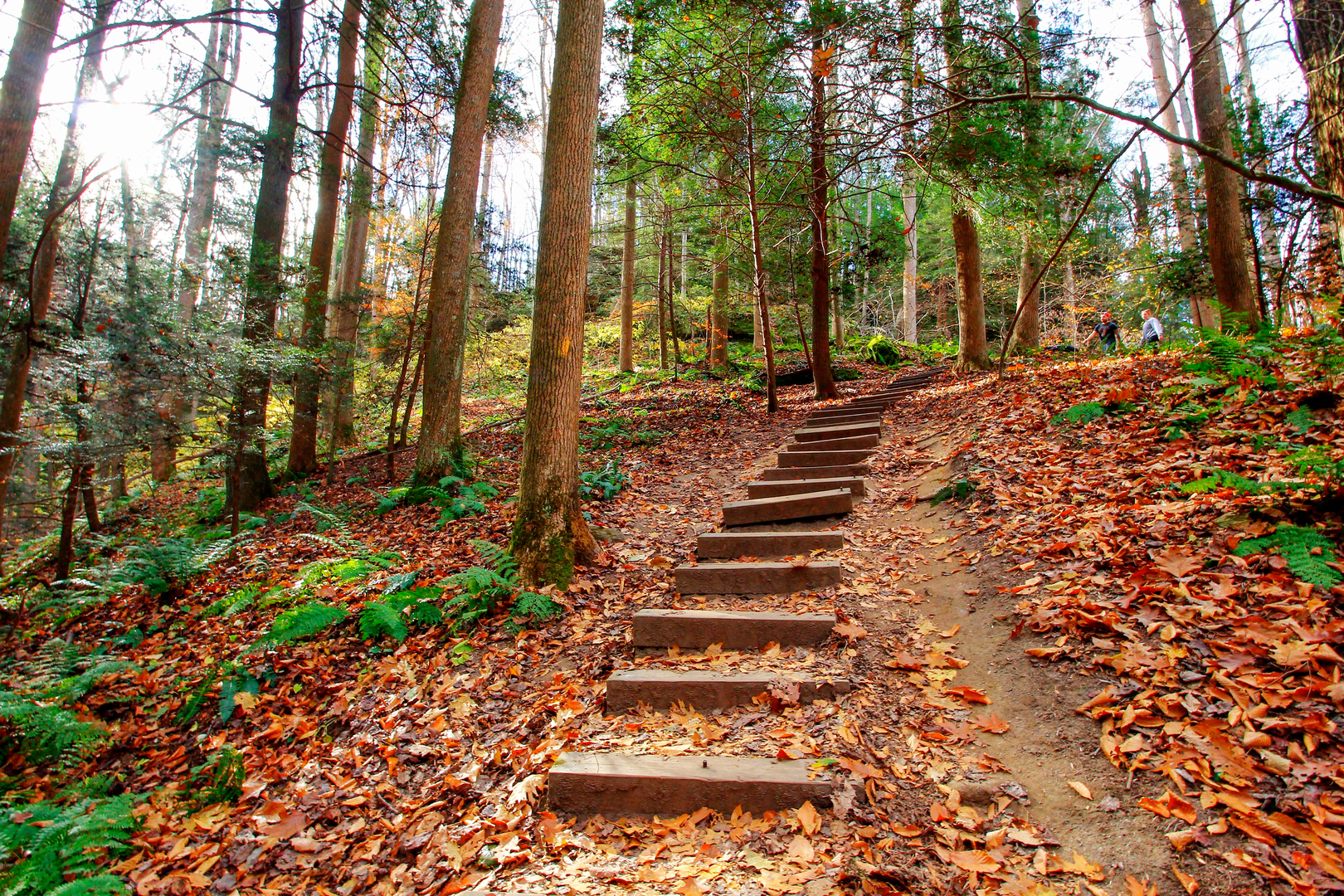 An image depicting the trail Cantwell Cliffs via Cantwell Rim Trail and its surrounding area.