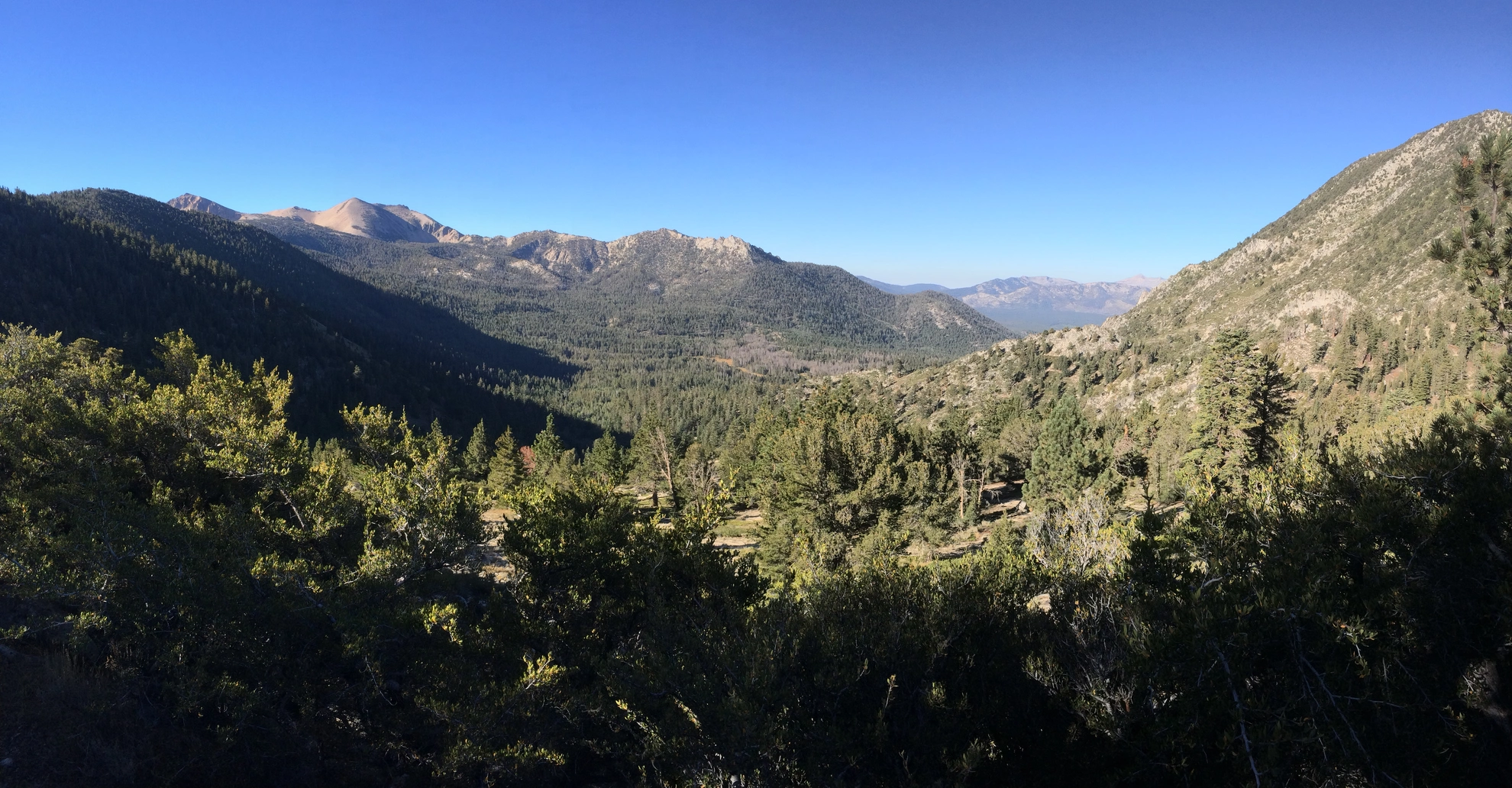 An image depicting the trail Cold Creek Loop and its surrounding area.