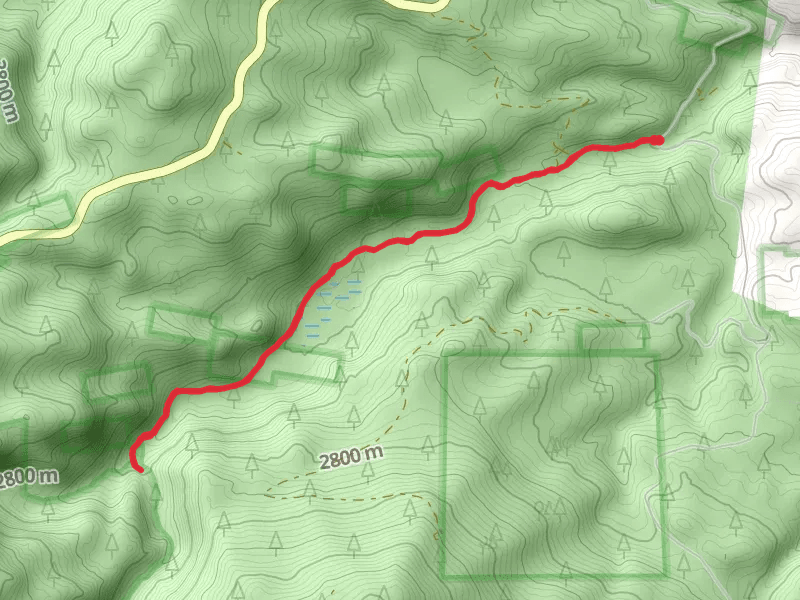 Green Mountain Falls Trail