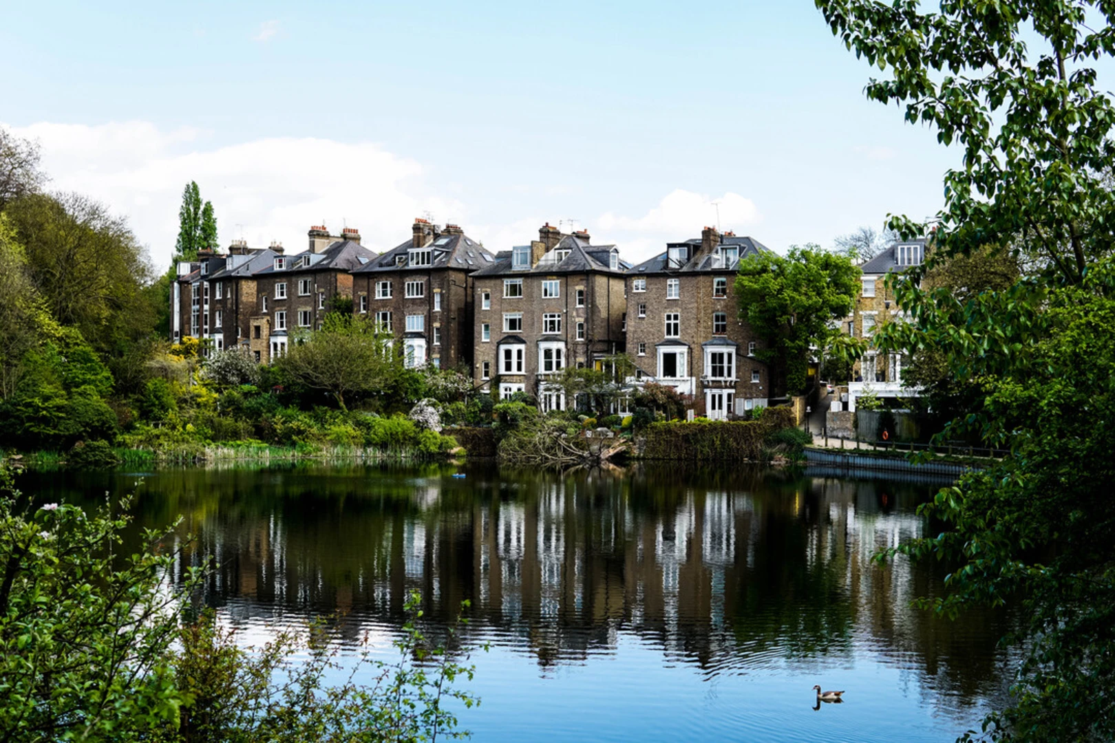 An image depicting the trail Hampstead Heath and its surrounding area.