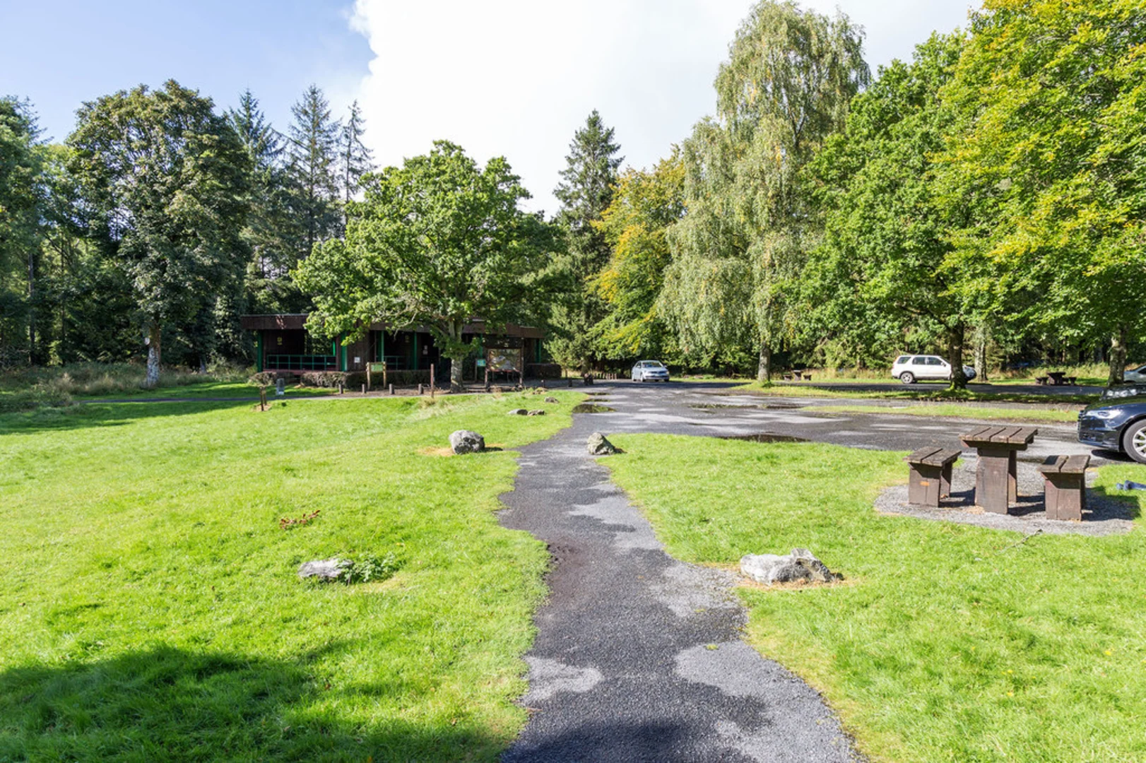 An image depicting the trail Portumna Forest Park Loop and its surrounding area.