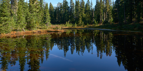 Placid Lake Trail