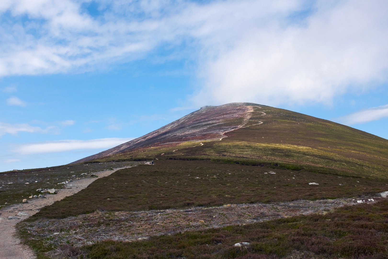 An image depicting the trail Roy's Hill and Ben Rinnes from Glack Harnes and its surrounding area.
