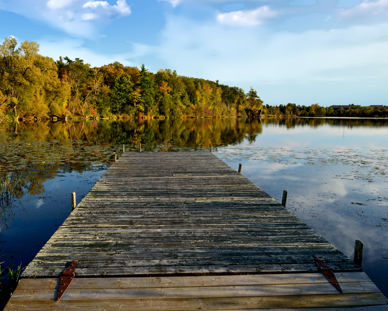 An image depicting the trail Oak Ridges Trail and its surrounding area.