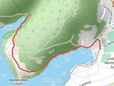 Shag Bay Track