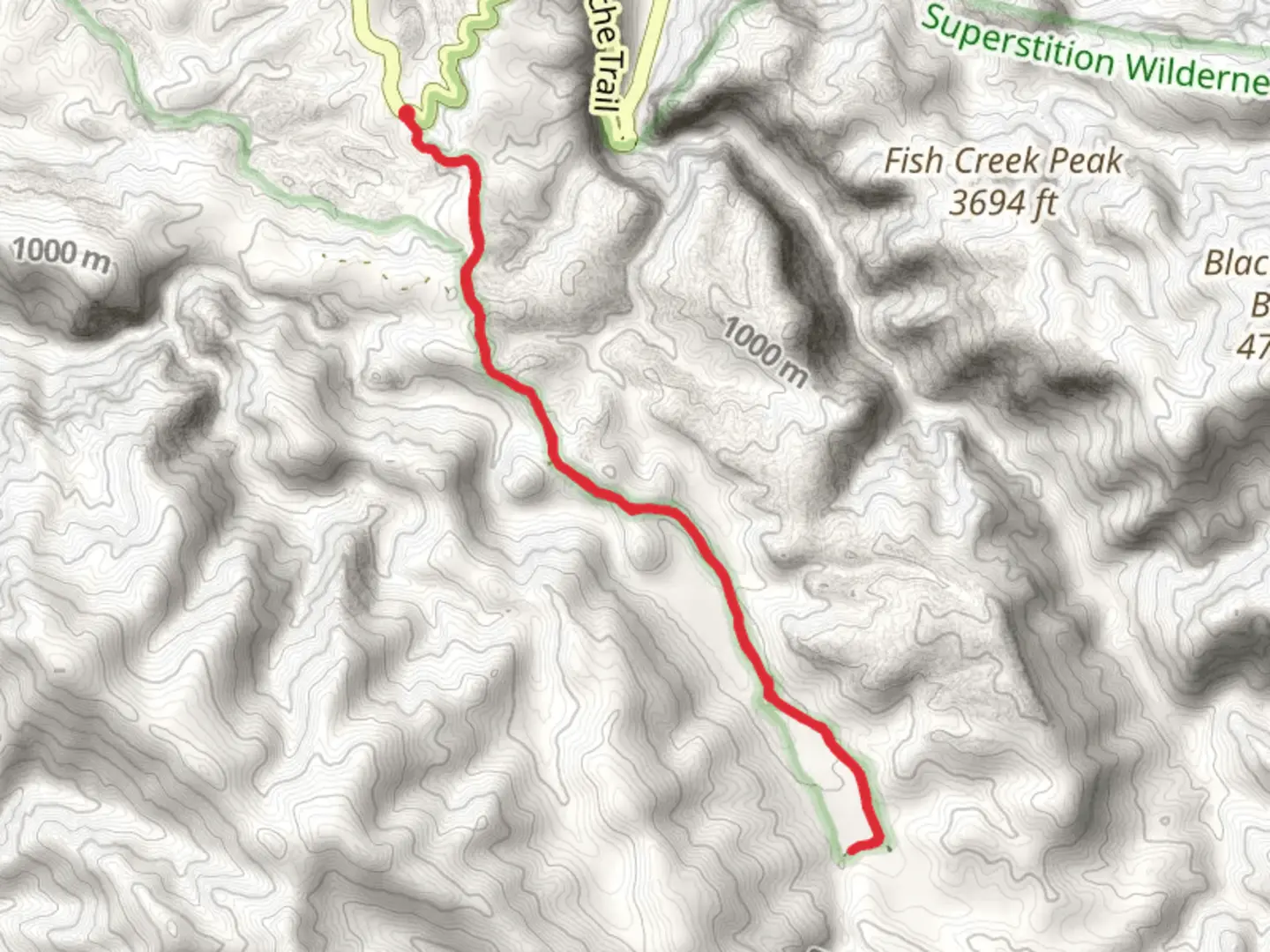 An image depicting the trail Walk along Tortilla Creek and its surrounding area.