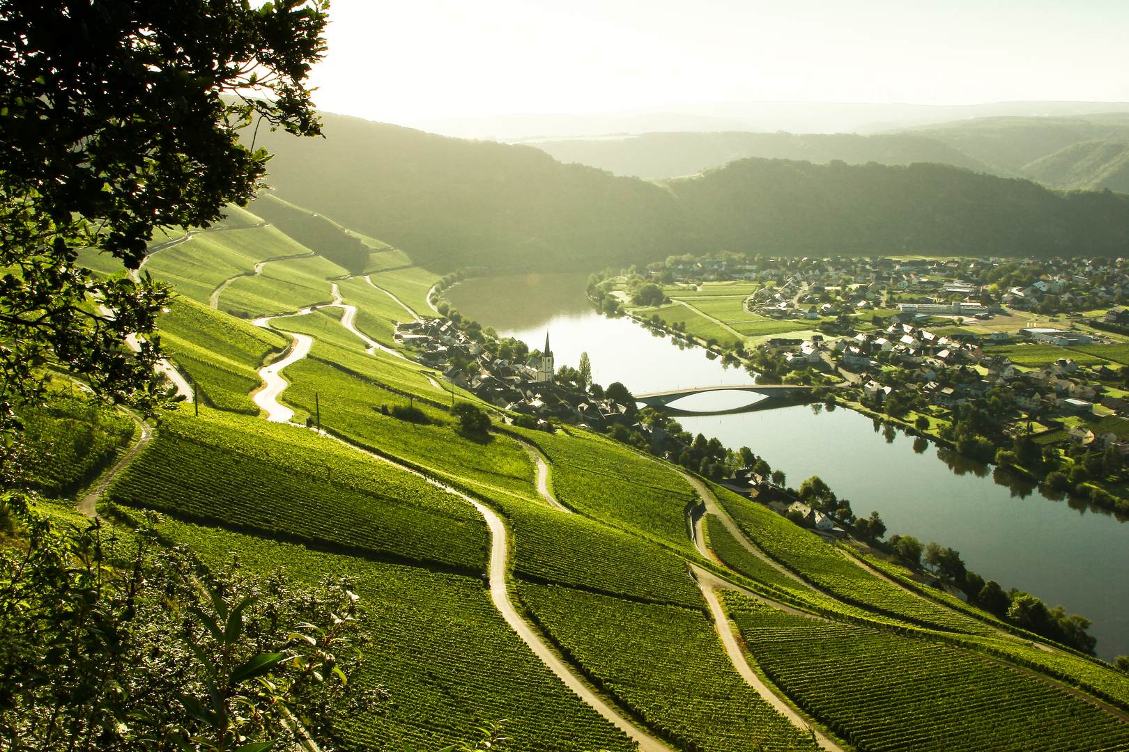 An image depicting the trail Moselsteig and its surrounding area.