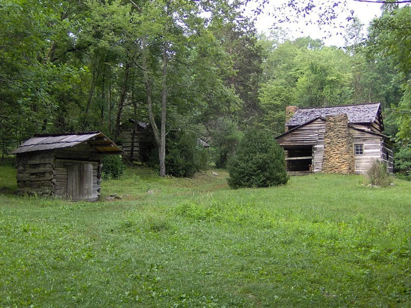 An image depicting the trail Little Greenbrier Trail and its surrounding area.