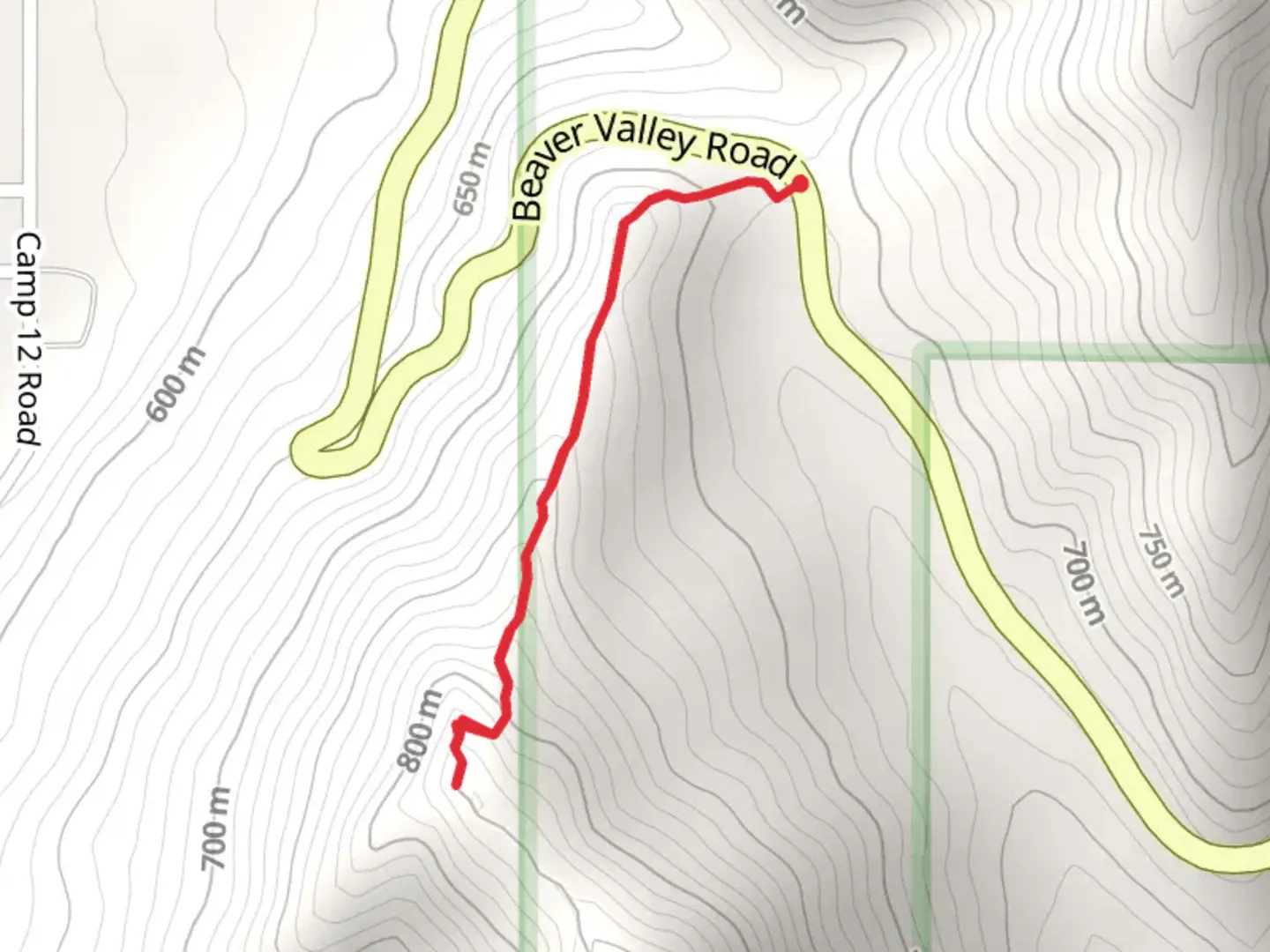 An image depicting the trail Chumplain Ridge Trail - Short and its surrounding area.