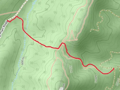 Narrowback Trail