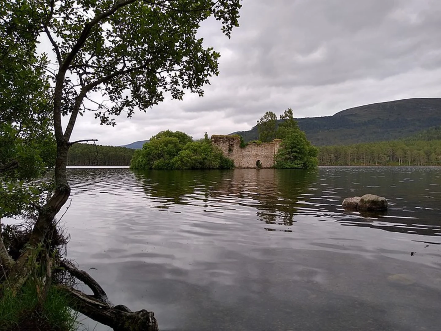 An image depicting the trail Ord Ban and Loch an Eilein Loop and its surrounding area.