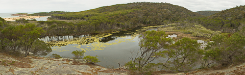 Sandy Creek Loop Track
