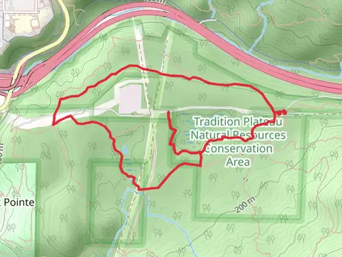 Swamp Trail and Wetlands Trail