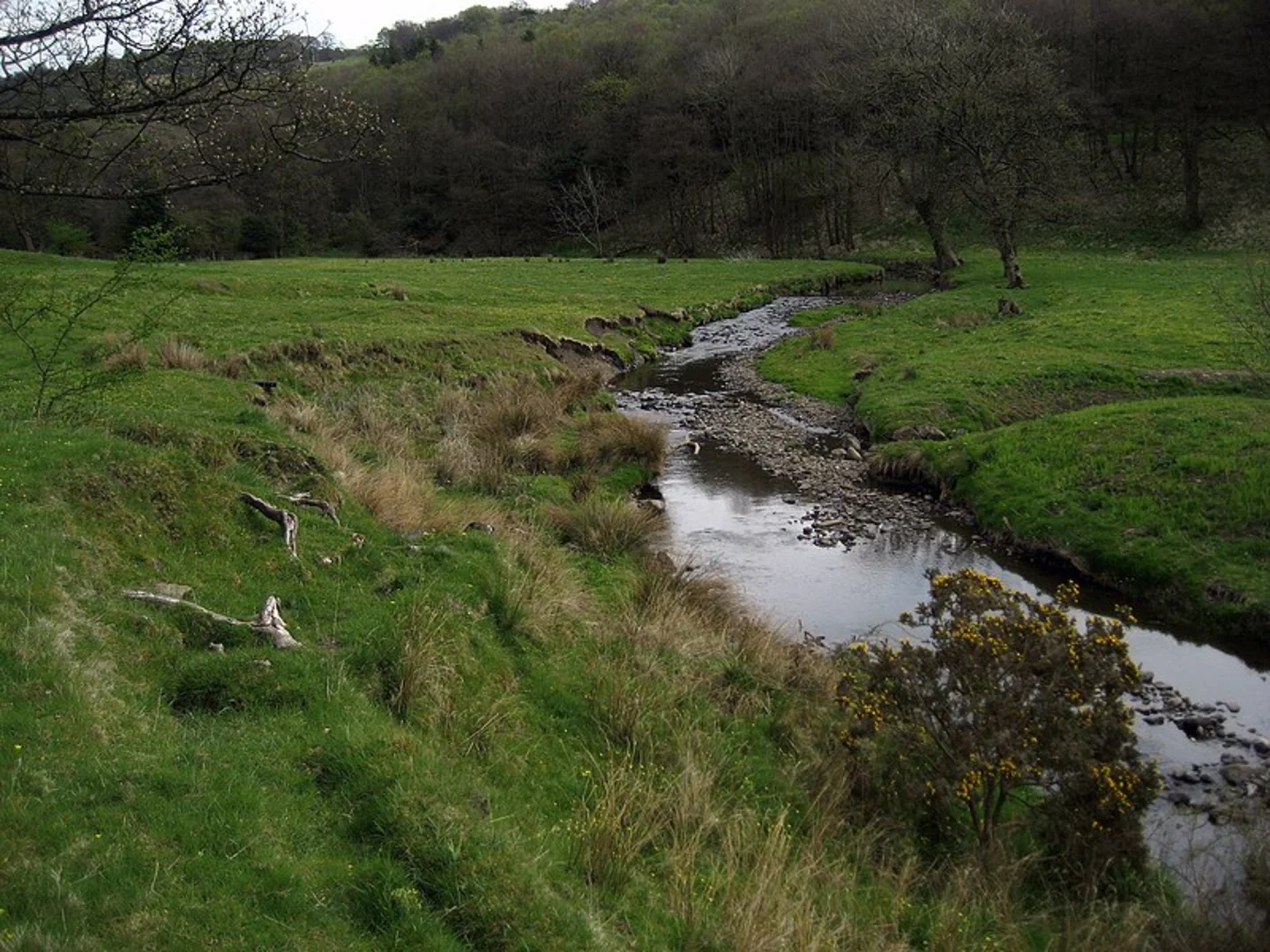 An image depicting the trail Whalley - Sabden Loop and its surrounding area.