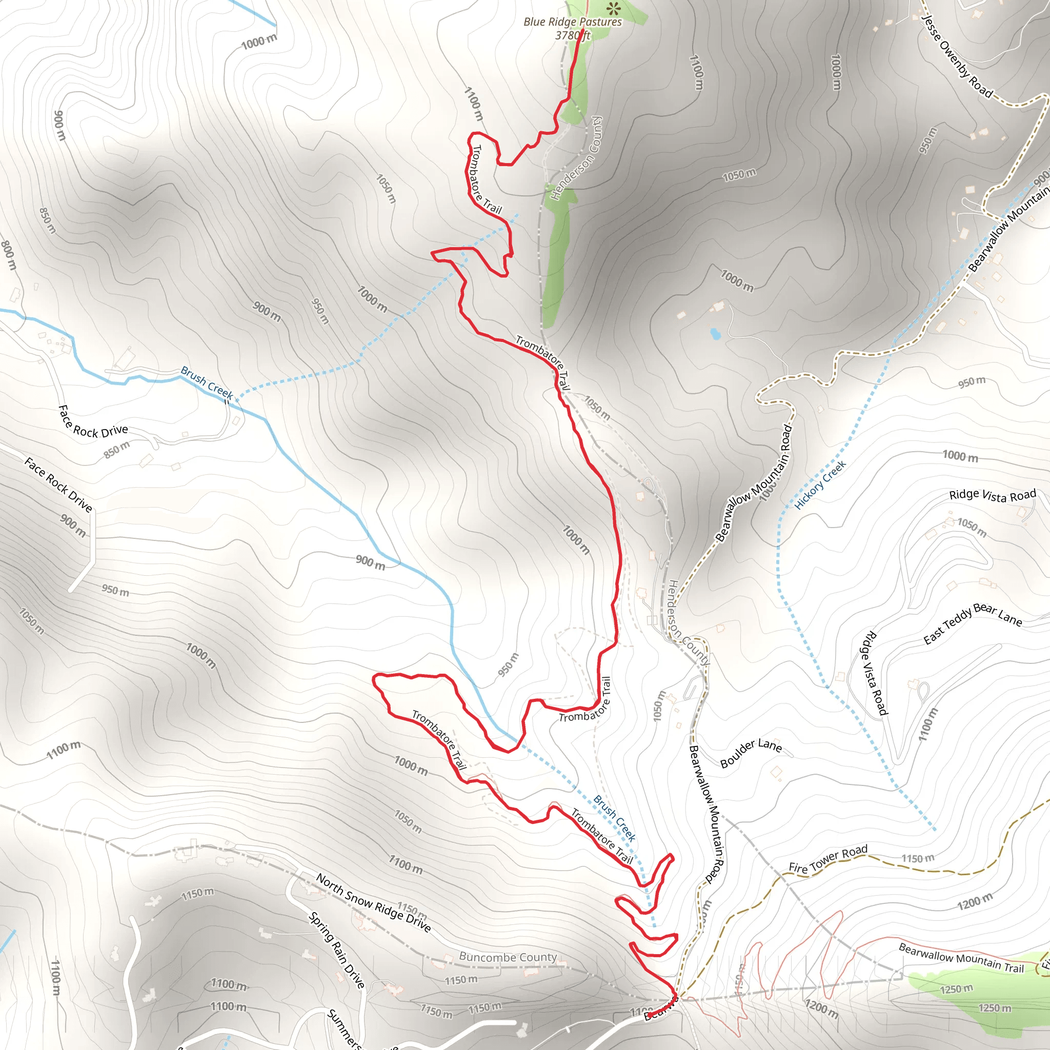 Blue Ridge Pastures mobile static map