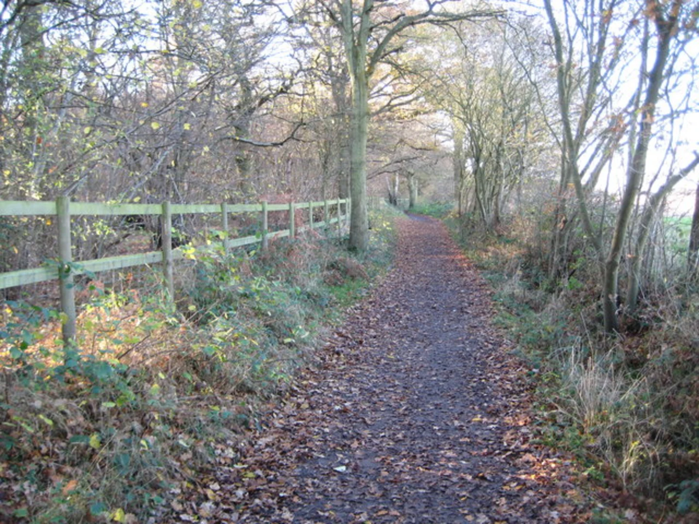An image depicting the trail Berrylands to Westhumble Walk and its surrounding area.