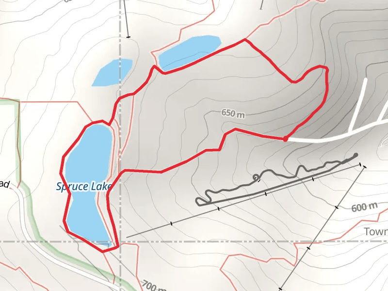 Spruce Lake Loop via Finger Lakes Trail