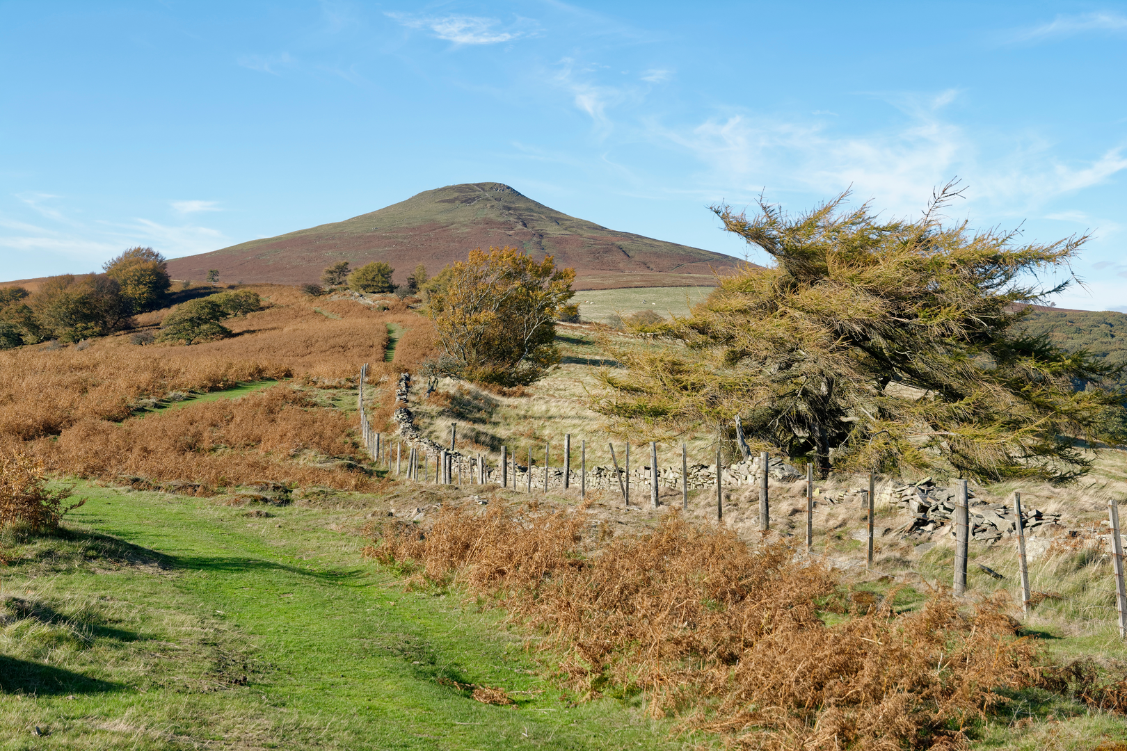 An image depicting the trail The Sugar Loaf from near Abergavenny - Short Ascent and its surrounding area.