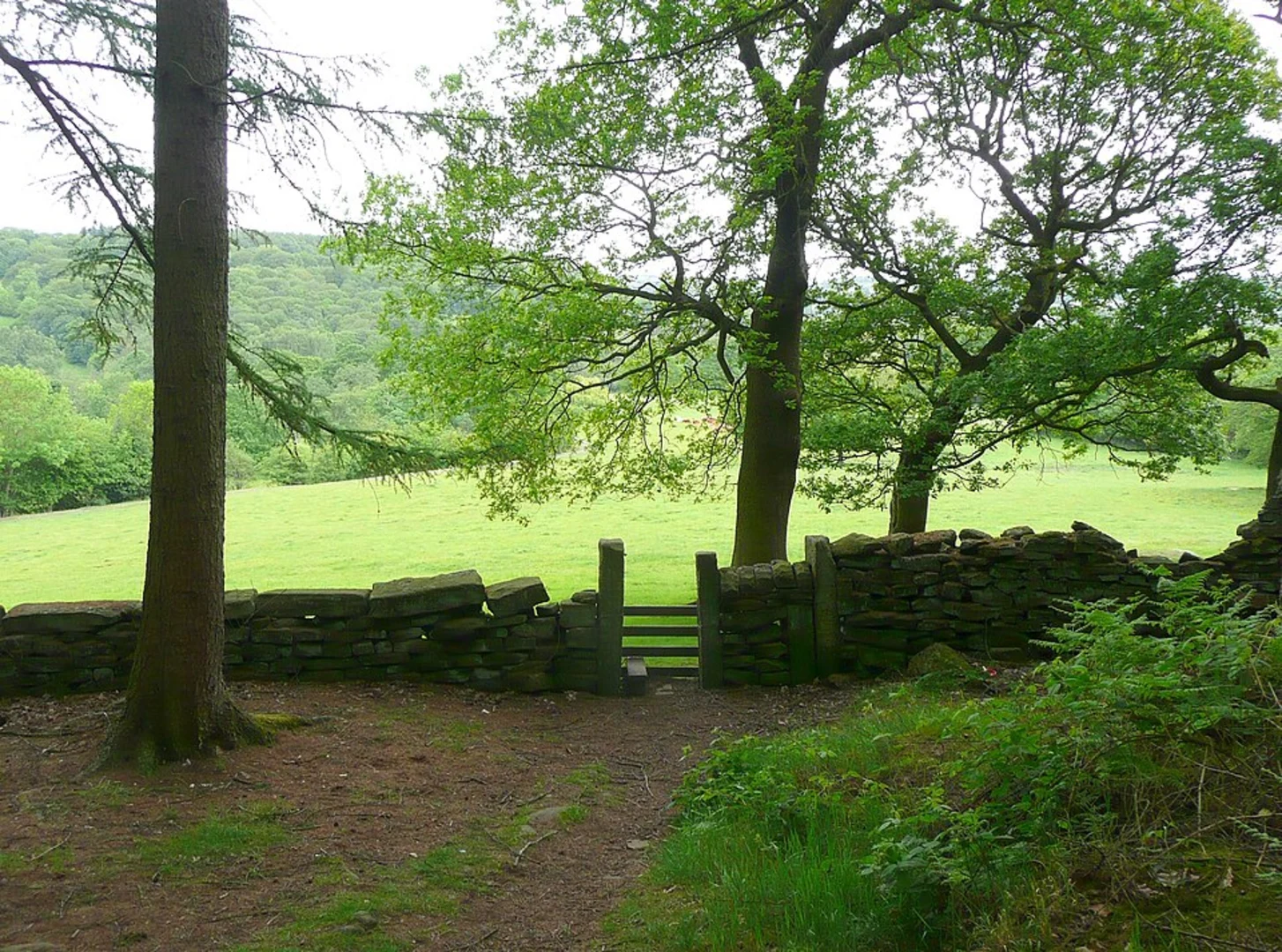 An image depicting the trail Cottingley Wood Estate Loop and its surrounding area.
