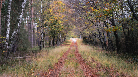 Kruipad, Postweg, Pas Opweg and Asselseweg Loop