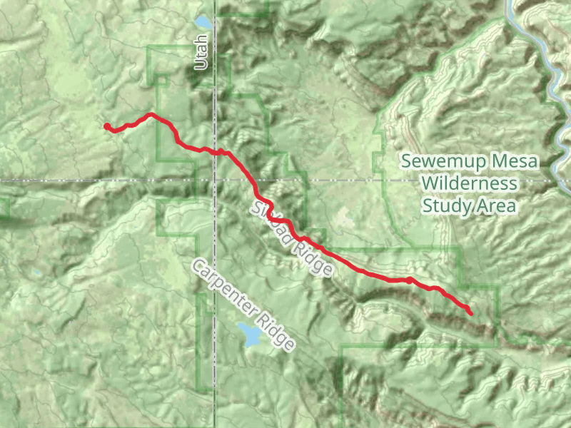 Sinbad Ridge Trail