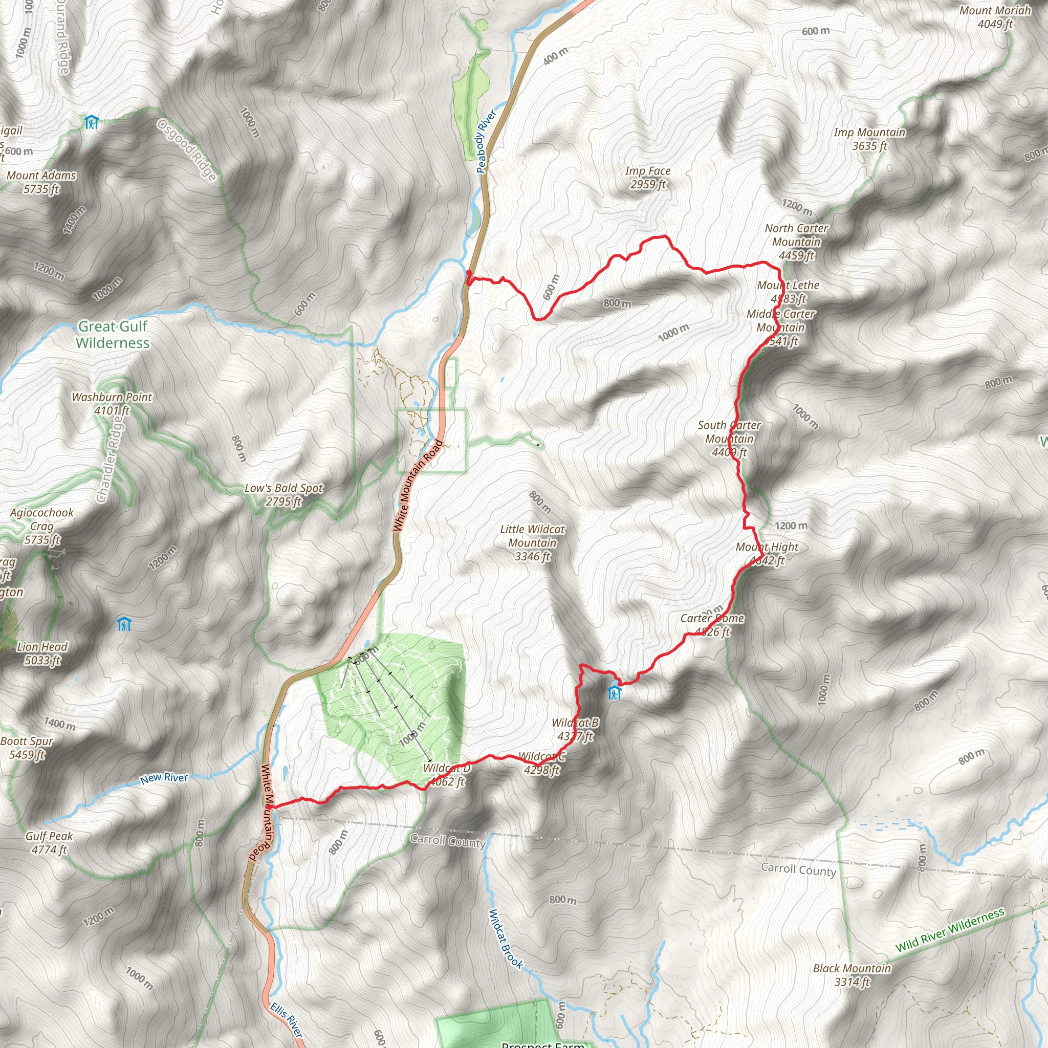 Wildcat Ridge Trail to Imp Trail via Wildcat Mountain and Mount Lethe mobile static map