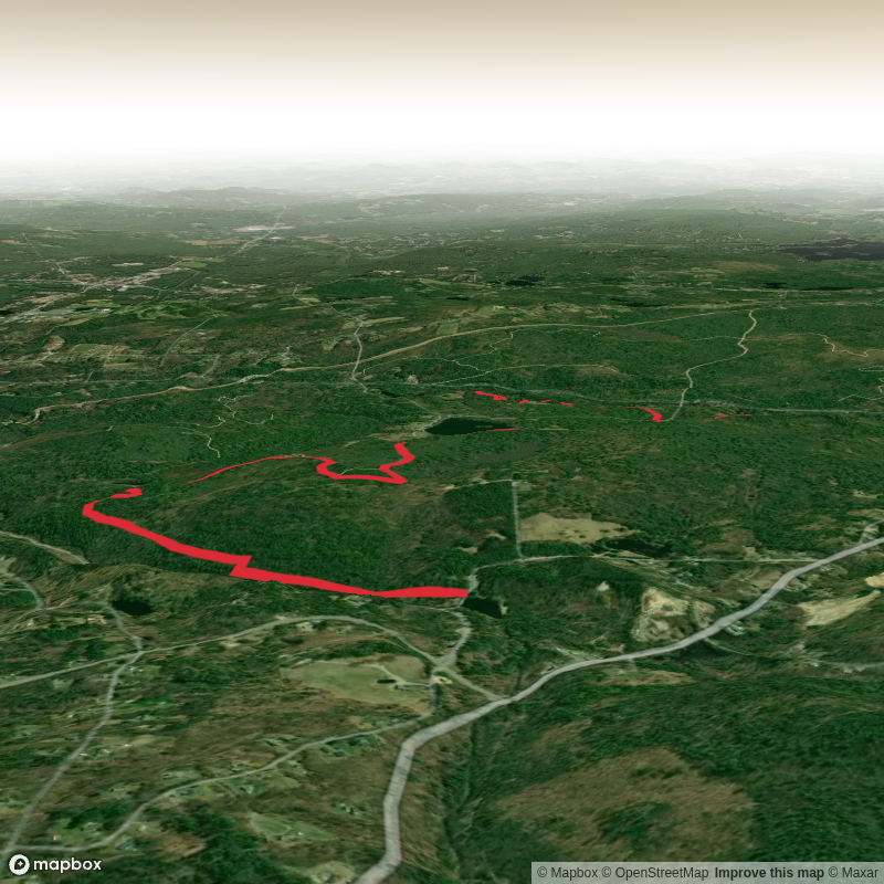 Damon Pond to Pearl Hill Brook Trail
