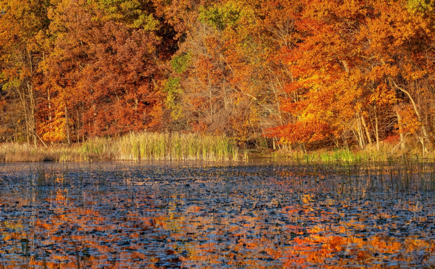 An image depicting the trail Kent Lake - Huron River - Paved Hike Loop Trail and its surrounding area.