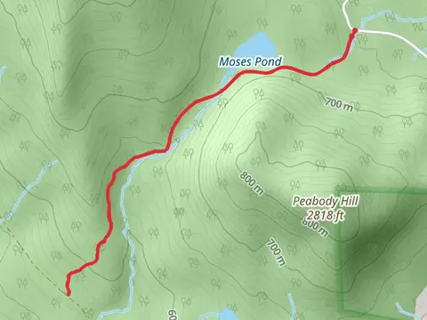 Moses Pond Trail