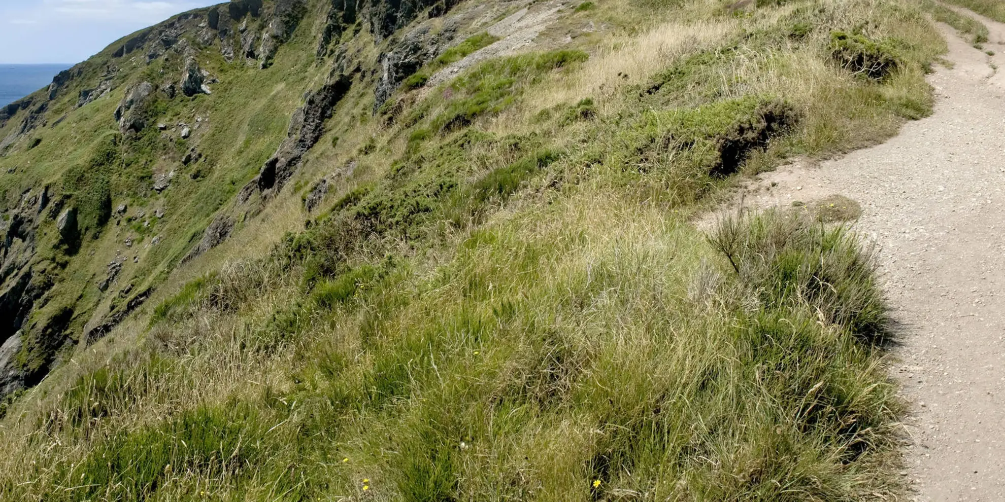 An image depicting the trail Amble on the Down Walk and its surrounding area.