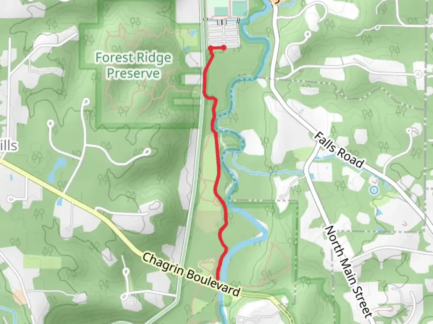 An image depicting the trail Bridle Trail and its surrounding area.