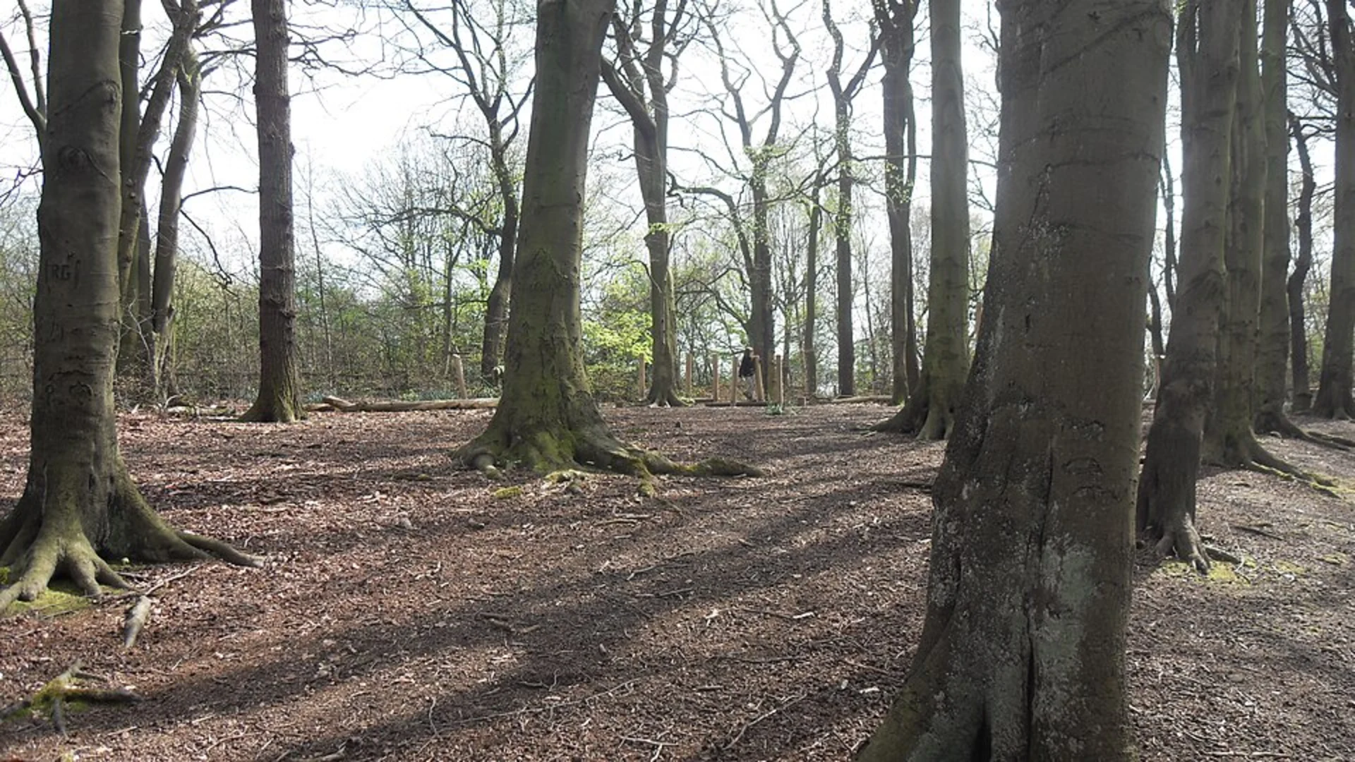 An image depicting the trail Worsley Loop and its surrounding area.