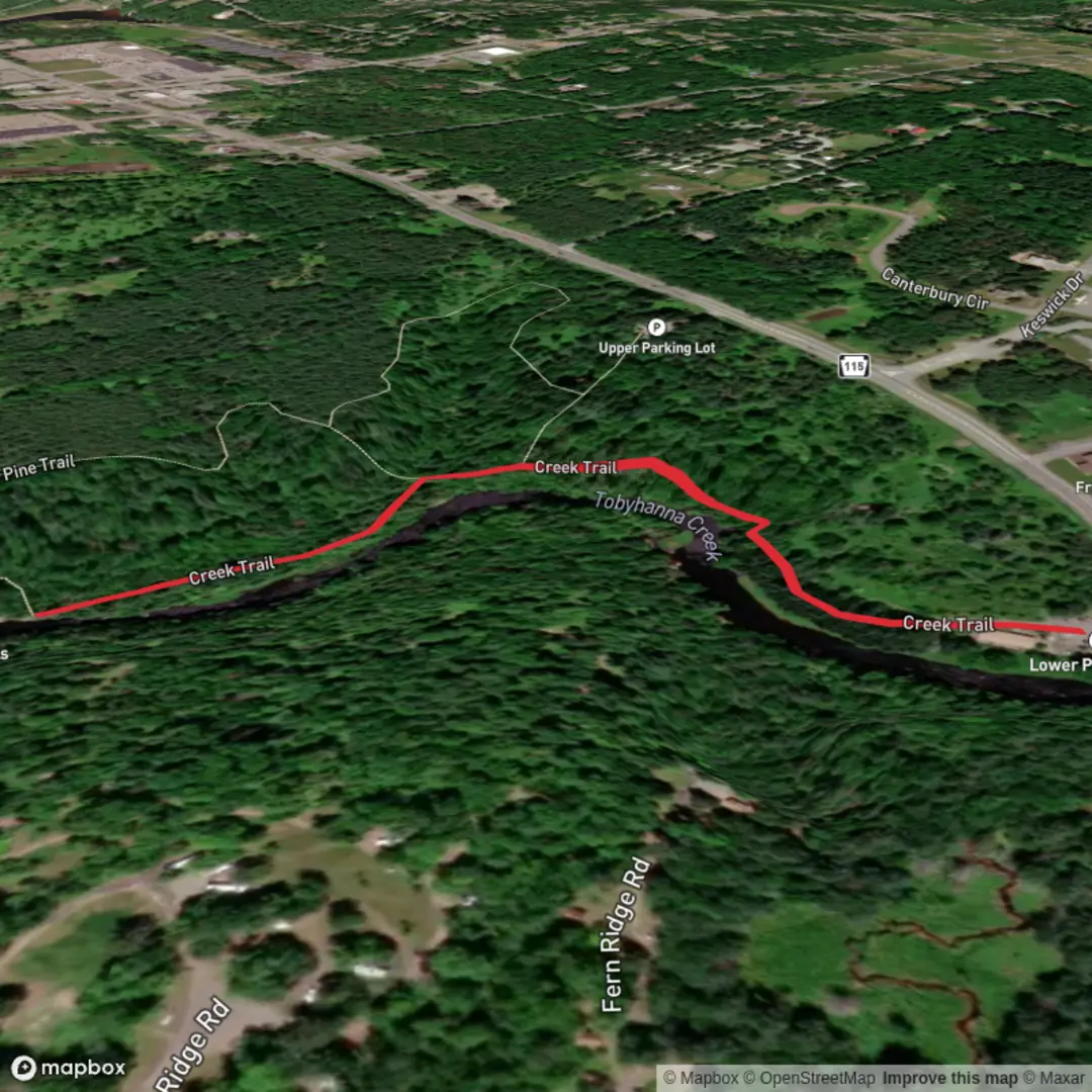 An image depicting the trail Tobyhanna Falls via Creek Trail and its surrounding area.