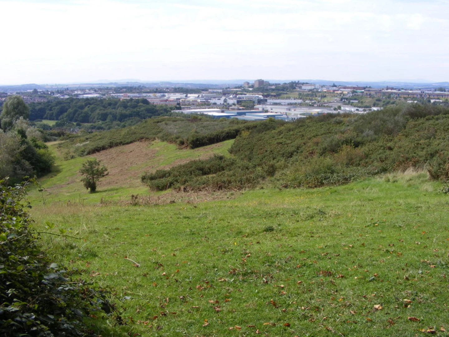 An image depicting the trail Saltwells Wood Loop and its surrounding area.