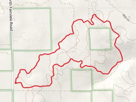 Ogemaw Hills Pathway Loop - Long