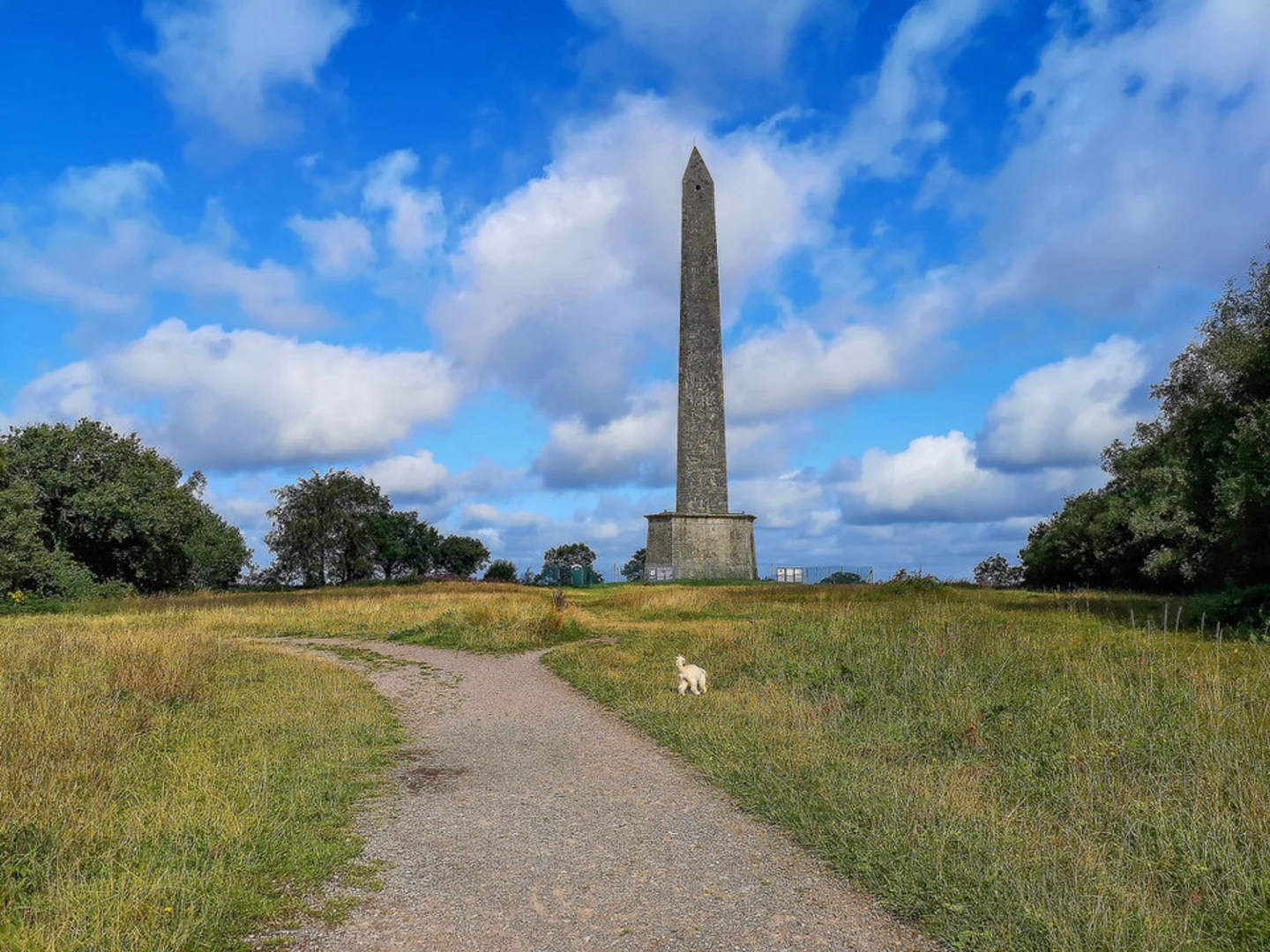 An image depicting the trail Wellington Monument and its surrounding area.