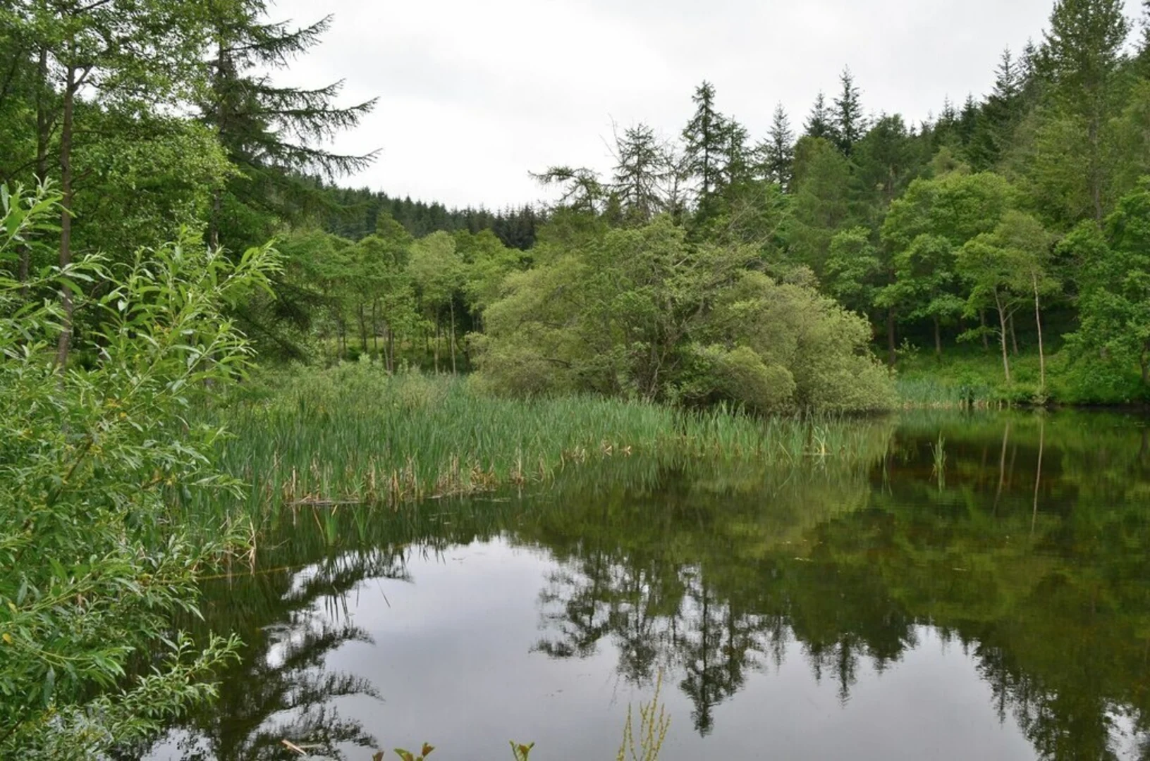 An image depicting the trail Glentress Burn Loop Trail and its surrounding area.