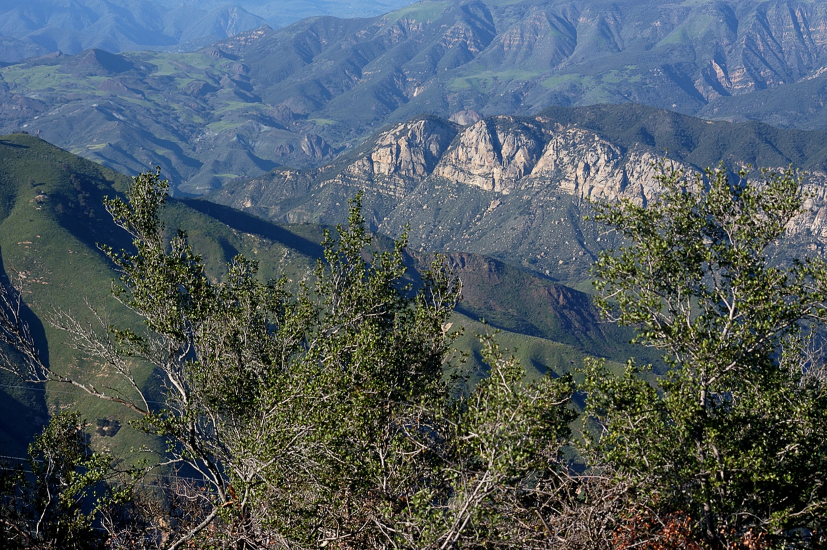An image depicting the trail Santa Barbara Canyon Road South Trail and its surrounding area.