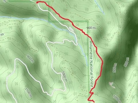 Lost Creek Trail - Short