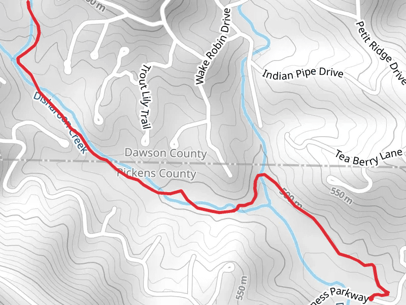 Disharoon Creek from Wilderness Parkway