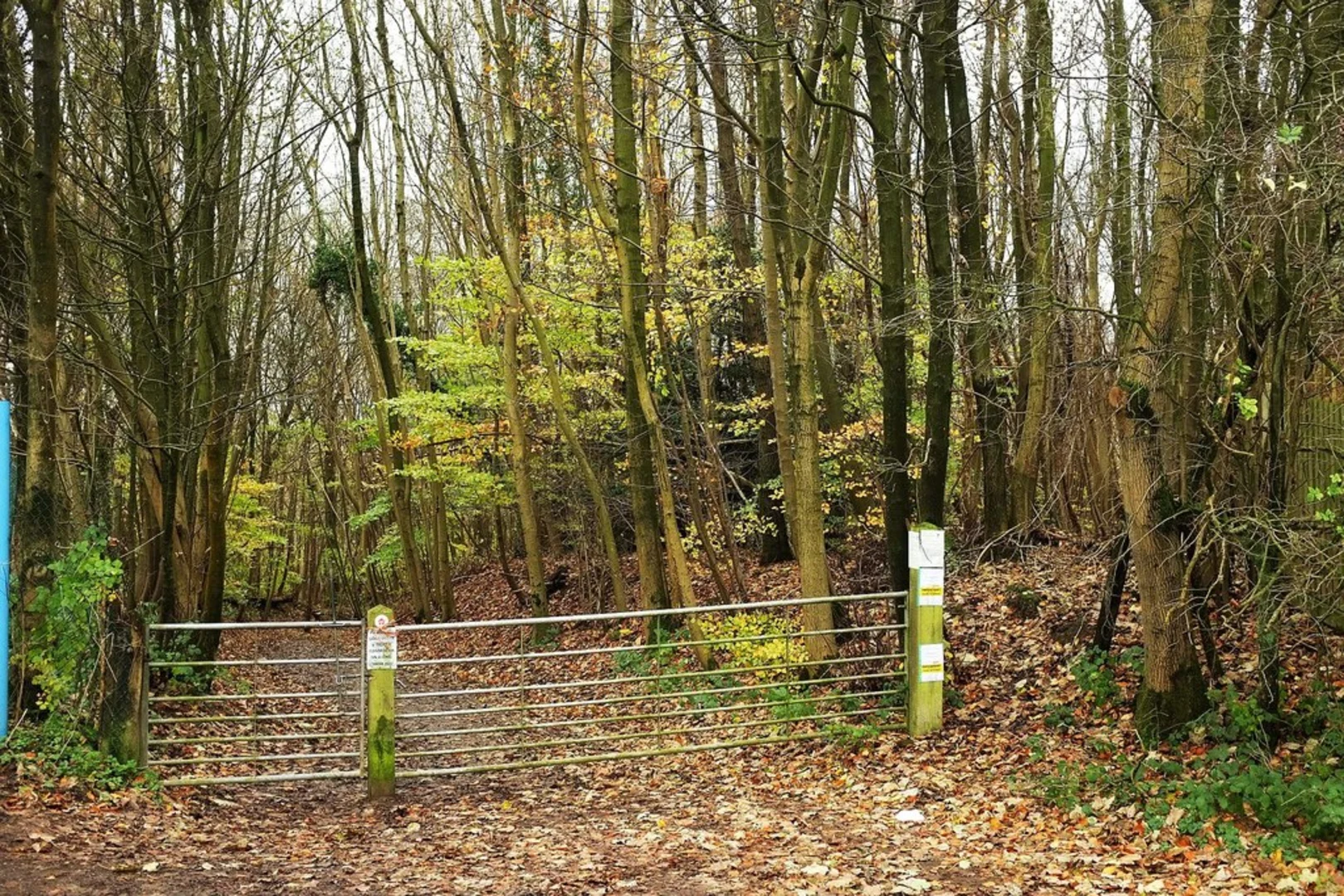 An image depicting the trail Titsey Plantation and its surrounding area.