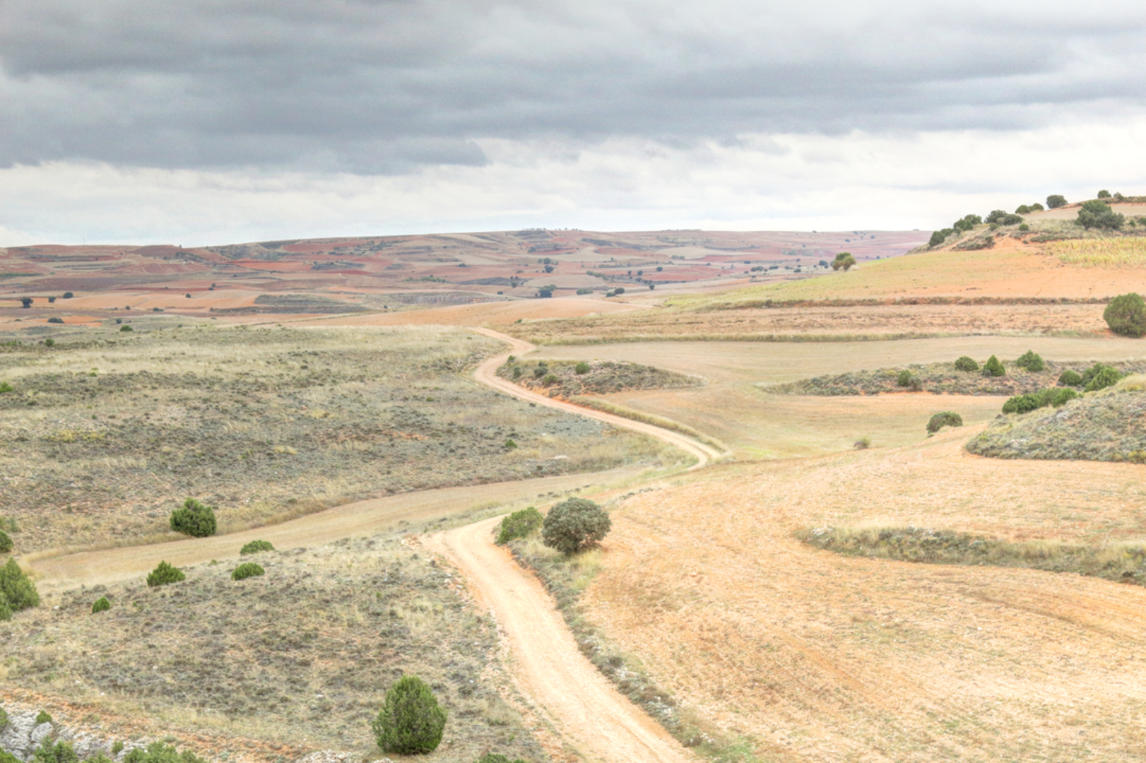 An image depicting the trail GR 24 - Jalón and Jiloca Trail and its surrounding area.